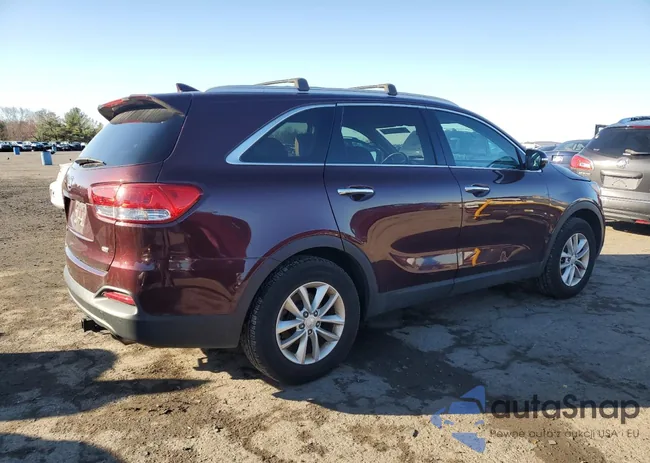 5XYPG4A30HG236888: 49768145