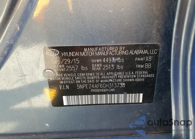 5NPE24AF6GH313738: 49841995