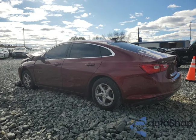 1G1ZB5STXGF302904: 48509585