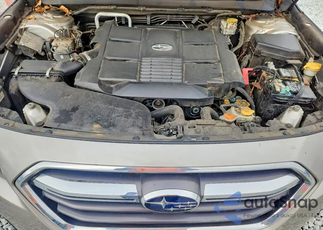 4S4BSENC9K3294580: 79885015