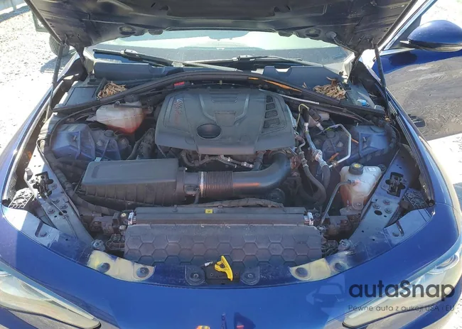 ZARFAEEN5J7589425: 46022066