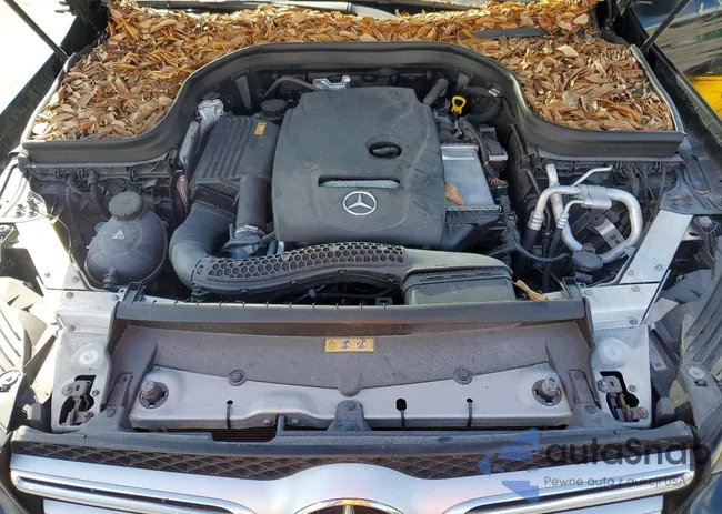 WDC0G4JBXGF076121: 47036256