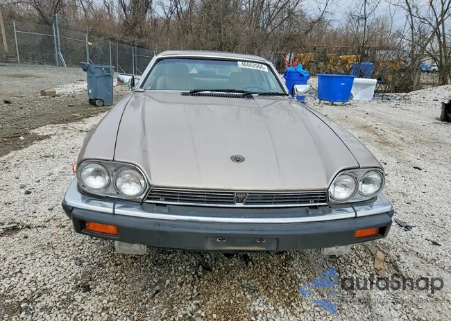 SAJNA5844KC151966: 46062966