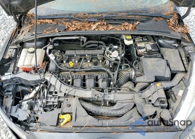 1FADP3K25HL201471: 79685465