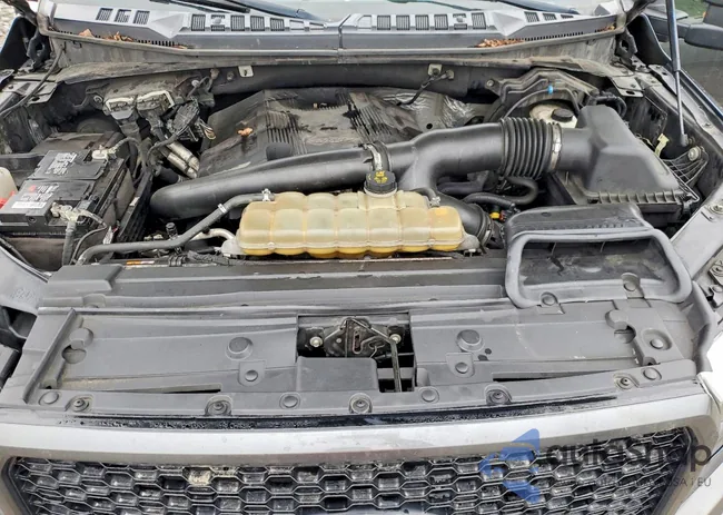 1FTEW1E49KFC59804: 78659575