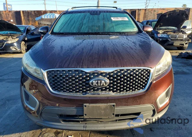 5XYPG4A31GG043776: 45961986