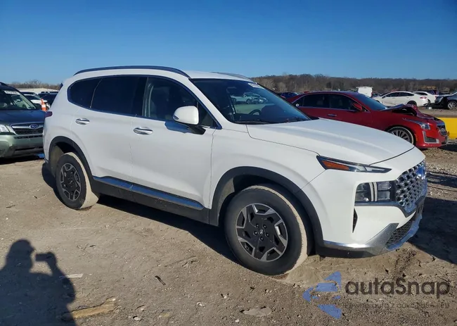 5NMS2DA11PH001749: 41619356