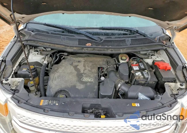 1FM5K8F86DGA65116: 77651175