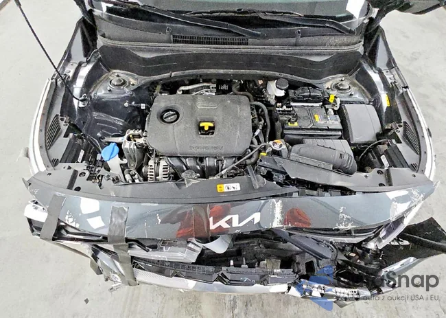 KNDEU2AA8R7641995: 77182985