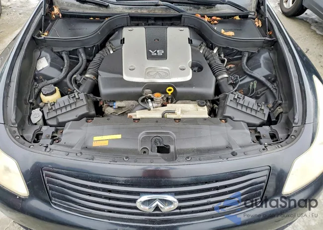 JNKBV61F67M817880: 79603815