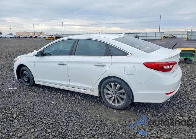 5NPE34AF8FH081008: 45744096