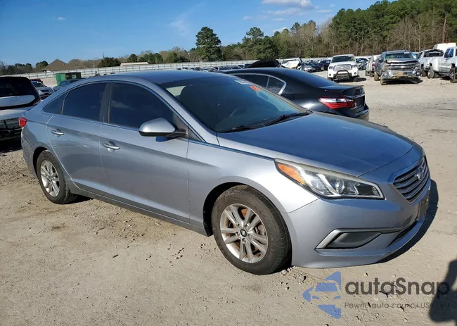 5NPE24AF2HH442464: 79907805