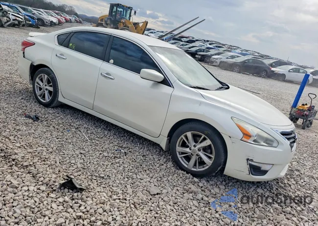 1N4AL3AP9DC195941: 79716855