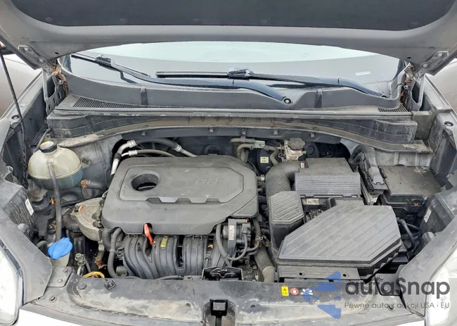 KNDPN3AC3K7527938: 41831866