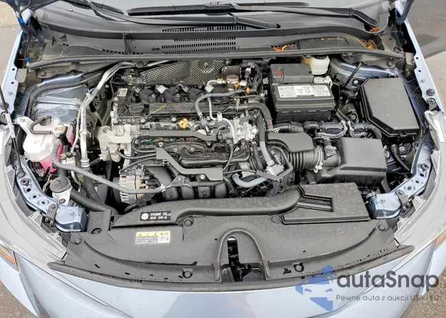 5YFB4MDE5SP253284: 79418765