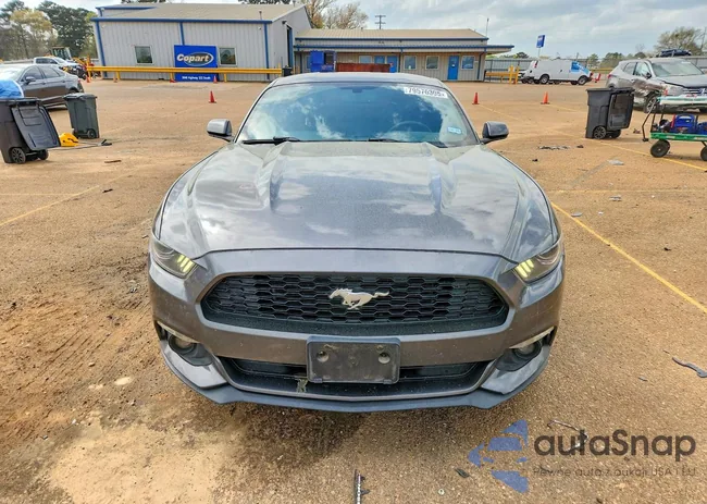 1FA6P8AM5F5381786: 79576305