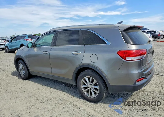 5XYPG4A39GG035683: 46229126