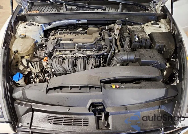 5NPEG4JA1MH078215: 79463865