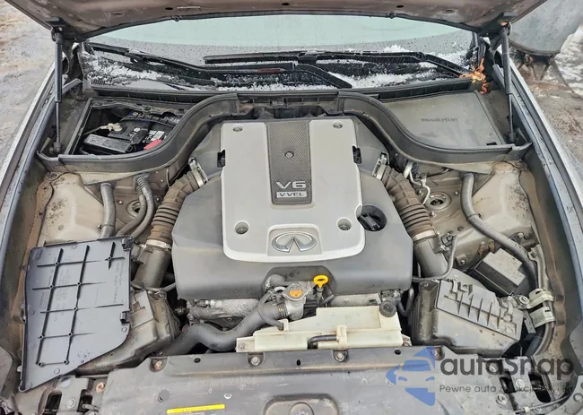 JN1CV6AR1BM404065: 78231375