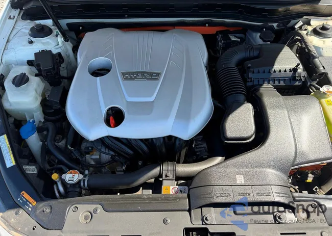 KNAGN4AD7F5090247: 45692086