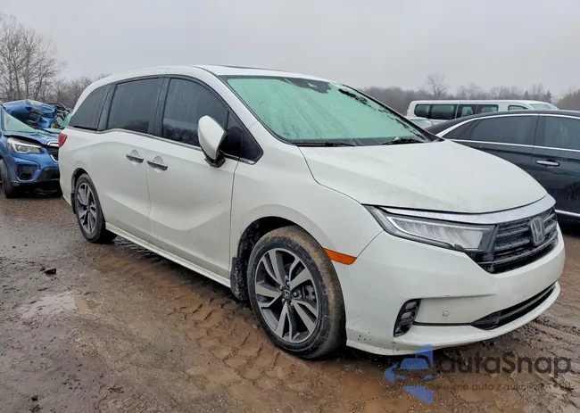 5FNRL6H81NB049132: 79759235