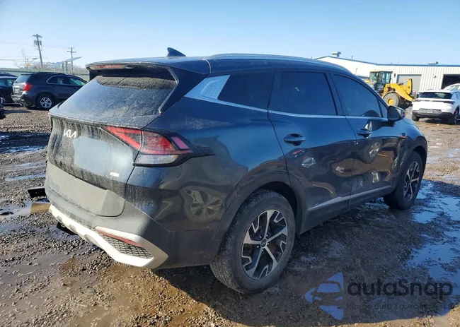 5XYK3CAF9PG031739: 79649655