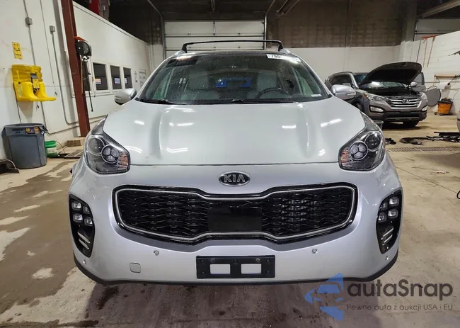 KNDPRCA64H7249719: 79941615