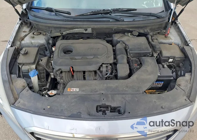 5NPE24AF2HH474640: 79554245