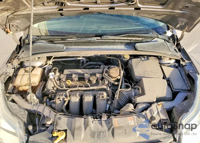 1FADP3F26EL317199: 41582806