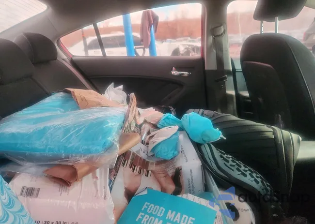 KNAFK4A68G5513070: 79110365