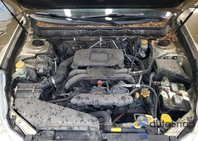 4S4BRBJCXA3318609: 78854885