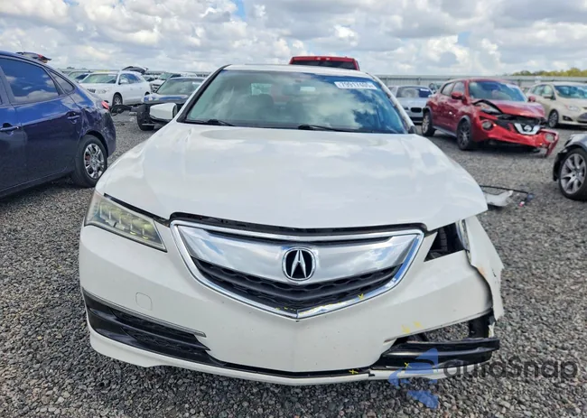 19UUB1F37GA013417: 79917405