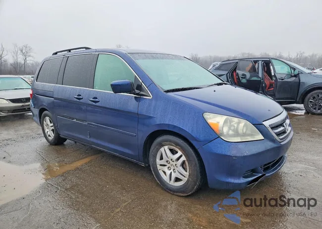 5FNRL38476B018318: 79246575