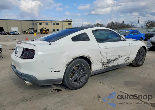 1ZVBP8AMXC5228645: 79120645