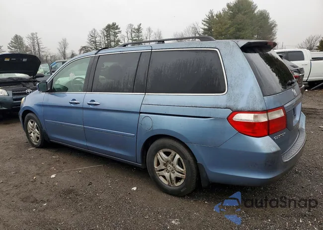 5FNRL38697B099552: 77934405