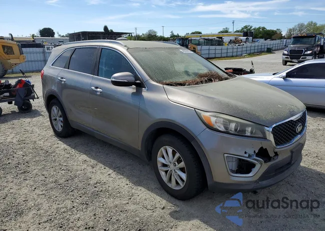 5XYPG4A39GG035683: 46229126