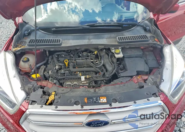 1FMCU9HD1KUC31056: 79418935