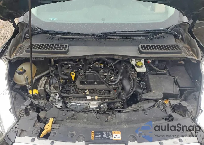 1FMCU0GD3JUB46697: 79259765