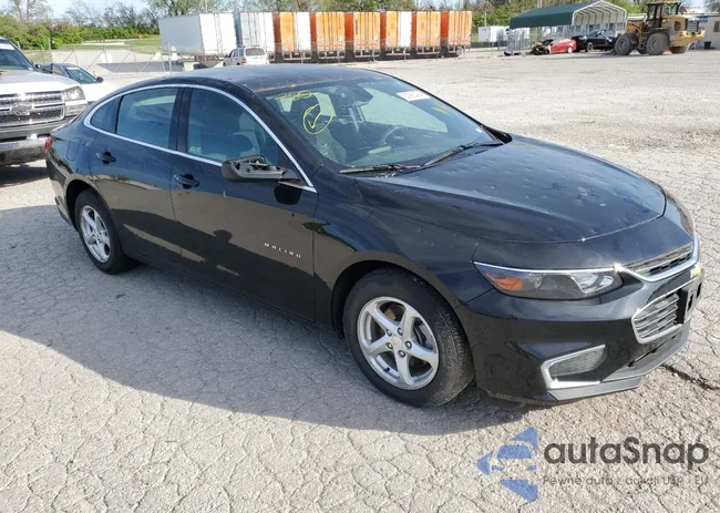 1G1ZB5STXHF229728: 50990434