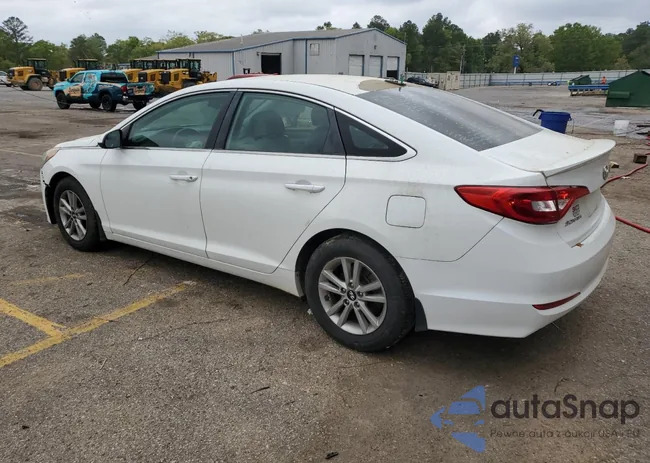 5NPE24AF2FH219175: 47231164