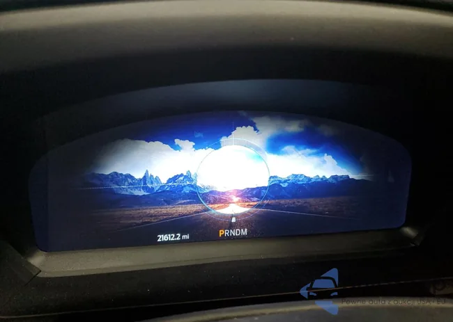 1FM5K8GC9PGA61438: 54445105