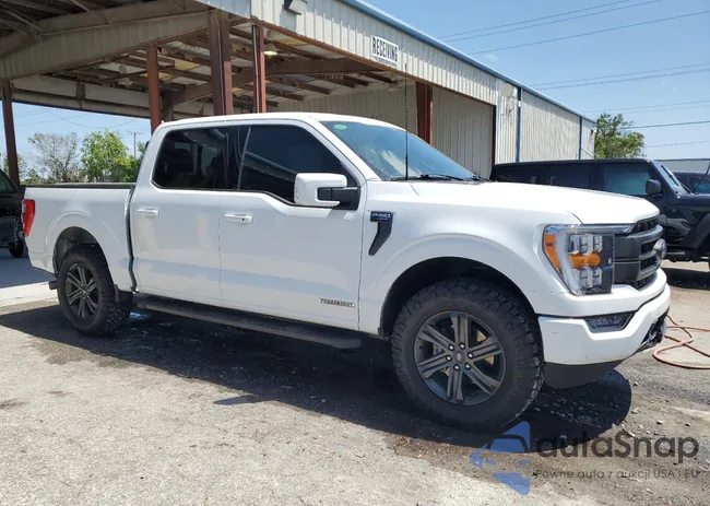 1FTFW1CD8PFD26603: 55141295