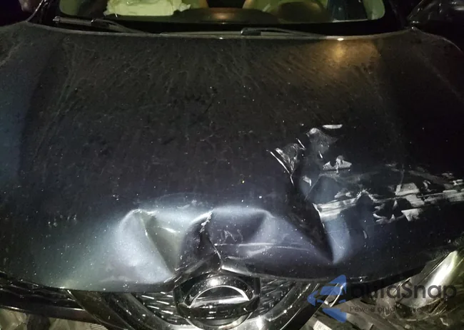 5N1AT2MT4EC867575: 54111295