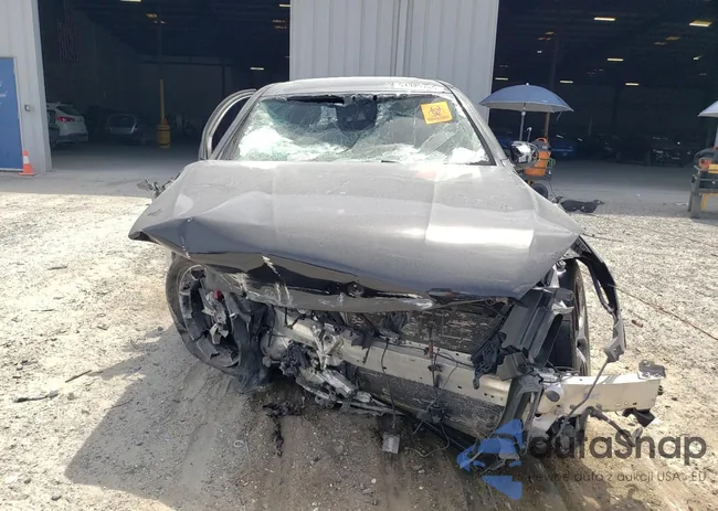 W1N0J6EB9PG159491: 51325745