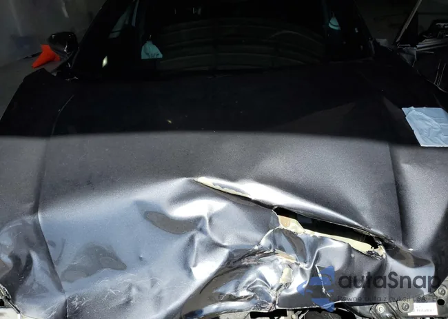 2HGFC2F82LH549291: 53430675