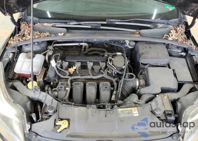 1FADP3F28EL158024: 50838035