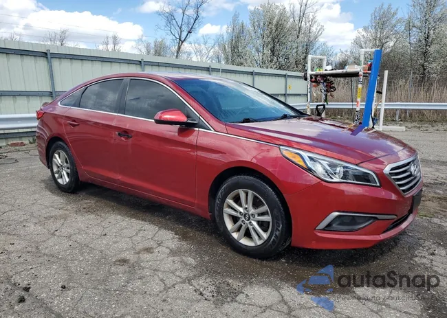 5NPE24AF6GH288646: 53928935