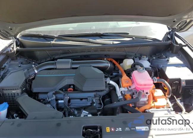 KM8JEDD13SU268631: 52491645