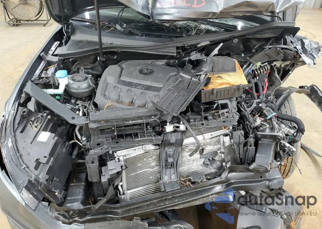 3VVFB7AX5RM041650: 54579575