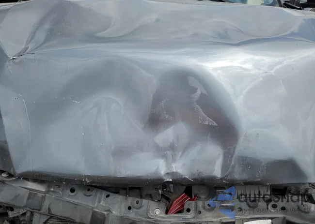 1N4BL4CV7MN363084: 53244645